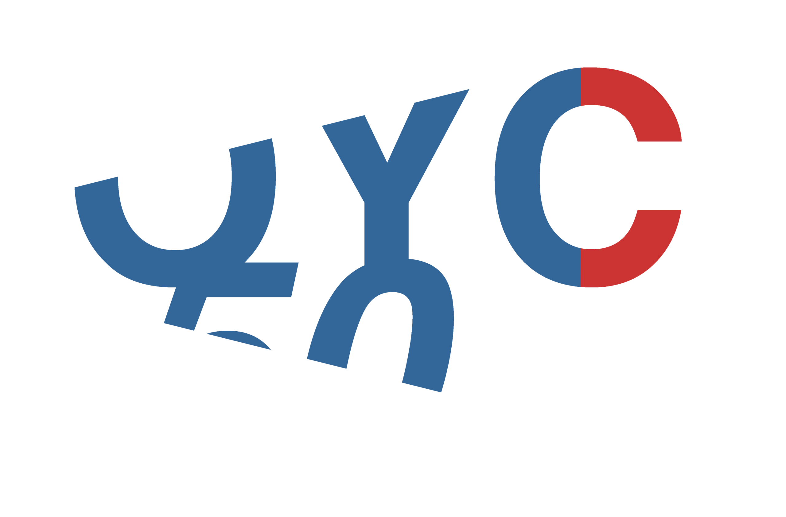OYC 50_Front Logo